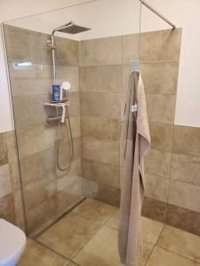 a bathroom with a shower with a glass door at Appartement Herzer in Gabersdorf