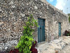a stone building with a blue door and vines at Cenotefront House 20 min from Chichen Casa Yaxunah 