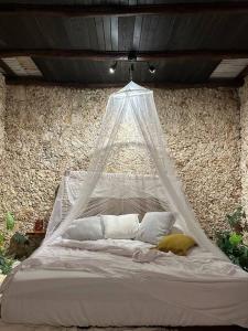 a bed with a net hanging from a wall at Cenotefront House 20 min from Chichen Casa Yaxunah 
