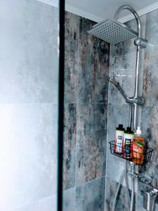 um chuveiro numa casa de banho com uma porta de vidro em A Hely em Kismaros