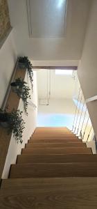 a staircase in a building with some plants on it at Cozy Small Villa with Private Garden in Venice