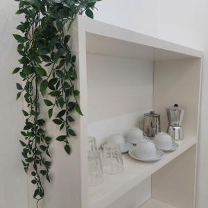 półka z naczyniami i rośliną na niej w obiekcie Essaouira Cool apartments w mieście As-Suwajra