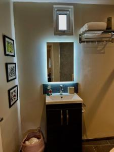 a bathroom with a sink and a mirror at Modern, Gr Floor 1 bed, bathroom, garden & private entry. in Cambridge