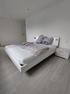 a white bedroom with a large bed and a wooden floor at Wolke7 in Frittlingen