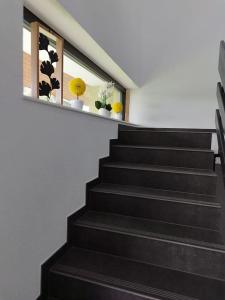 a staircase with black steps and flowers in windows at Wolke7 in Frittlingen
