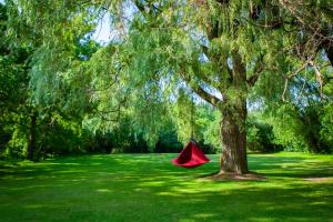 ein rotes Zelt unter einem Baum auf einem Feld in der Unterkunft Nature Oasis BarMar 2BR Suite in Dundas close to Webster Falls in Dundas