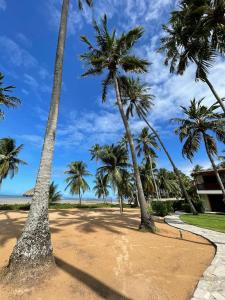 um grupo de palmeiras numa praia arenosa em Bitingui Praia Hotel em Japaratinga