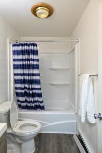 a bathroom with a toilet and a shower at 410 E 45th Unit 1 in Anchorage