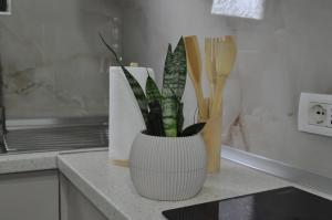 a white vase with plants in it on a kitchen counter at Timber Guest House in Berat