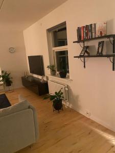TV a/nebo společenská místnost v ubytování Skøn lejlighed med have. Rolige omgivelser