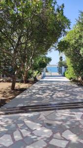 a walkway with trees and a white fence and the ocean at Villa Pagar - with jacuzzi - Renovated in 2022 in Povljana