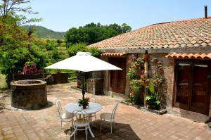 un patio avec une table, des chaises et un parasol dans l'établissement Villa Bonaccorso - antica e maestosa villa con piscina ai piedi dell'Etna, à Viagrande