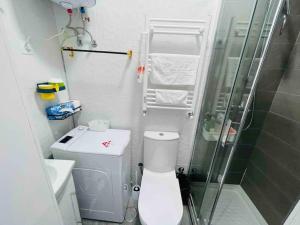 a small bathroom with a toilet and a shower at Fantastico Estudio Cuatro Camino in Madrid