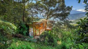 ein Haus mitten im Wald in der Unterkunft Earth Lodge in Antigua Guatemala