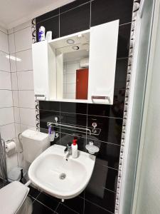 a bathroom with a sink and a toilet and a mirror at Apartman T&A in Trebinje