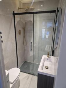 a bathroom with a shower and a toilet and a sink at Collier's Wood en-suite apartments in London