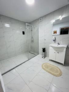 德拉瑪的住宿－Leos Dream Apartment，带淋浴和盥洗盆的白色浴室