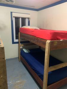 two bunk beds in a room with a window at Paradise Divers Hotel in Utila