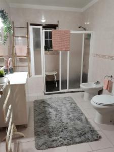 uma casa de banho com um chuveiro, um WC e um lavatório. em Por A Mor em Figueiró dos Vinhos