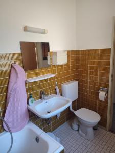 La salle de bains est pourvue d'un lavabo et de toilettes. dans l'établissement Ferienhaus Seifert, à Bischofsheim an der Rhön