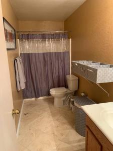 a bathroom with a toilet and a shower at Bella Oasis Family Retreat in El Mirage +54 photos