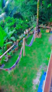 Gallery image of A Figueira Sagrada - Hostel in Morro de São Paulo