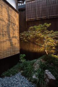 a pine tree in front of a wooden fence at 京町　朱雀 in Kyoto