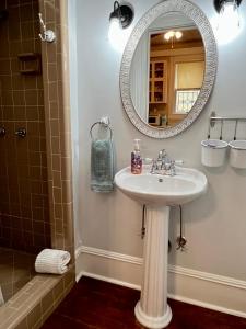 a bathroom with a sink and a mirror at Brackenridge House Bed and Breakfast in San Antonio