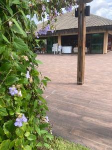 un patio con un poste de madera y flores púrpuras en VG Sun Cumbuco by Bruna Mazzer en Cumbuco