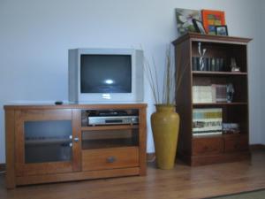 a entertainment center with a tv and a vase at Al Rincon de Emi in Carreña de Cabrales 