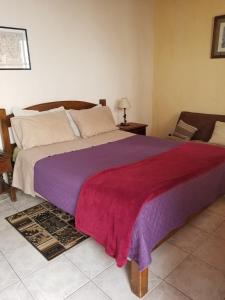 a bedroom with a large bed with a red and purple blanket at La Casa de Teresa in Colonia del Sacramento