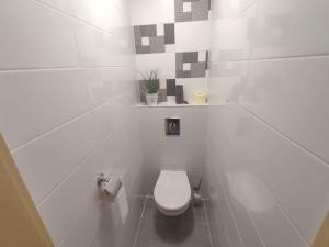 a white bathroom with a toilet in a stall at Holiday home in Vonyarcvashegy - Balaton 45332 in Vonyarcvashegy +42 photos