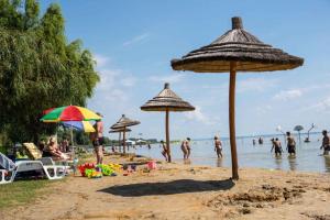 a group of people on a beach with umbrellas at Holiday home in Vonyarcvashegy - Balaton 45332 in Vonyarcvashegy