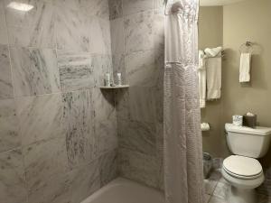 ein Bad mit einem WC und einer Dusche in der Unterkunft Inn on St. Ann, a French Quarter Guest Houses Property in New Orleans
