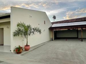 um edifício branco com uma palmeira num pátio em Casa 5 - Vila Francisco em Pirenópolis