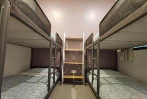 2 Etagenbetten in einem kleinen Zimmer mit zwei Dritteln gmaxwell gmaxwell gmaxwell in der Unterkunft G Residence - 2R2B Barrington Night Market (1) in Brinchang