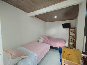 TibiritaにあるHospedaje Las Golondrinas - Tibirita, Cundinamarcaのベッド2台、テレビ、はしごが備わる客室です。