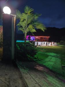 a palm tree in front of a building at night at Septimo Cielo Tiny Homes in Guatapé