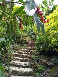 Eine Steintreppe in einem Garten mit einem Blumenstrauß in der Unterkunft Berkey's Jungle Paradise Resort in Roseau