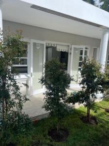 a white house with two trees in front of it at Two on Milner - OAK TREE COTTAGE - Stylish open-plan Guesthouse in Rondebosch in Cape Town