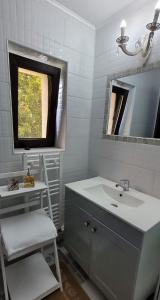 a bathroom with a sink and a mirror at Casa Domnească in Giurgiu