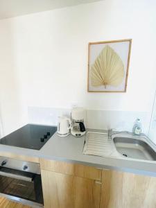 um balcão de cozinha com um lavatório e uma imagem na parede em Confort et Nature à Berck-Plage - détente ou travail - wifi em Berck