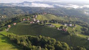 an aerial view of a vineyard in the hills at Wohlmuth-Lückl in Kitzeck im Sausal