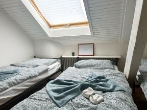 two twin beds in a room with a skylight at Spacious & Cozy Apartments in Krefeld