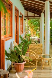 een veranda met stoelen en een potplant bij Nehansa Resort and safari in Tissamaharama