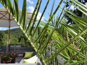 a view through the leaves of a palm tree at Hotel Wanderlust B&B in Gernsbach