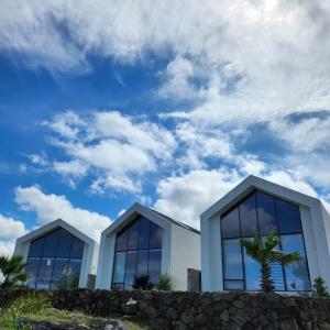 a building with two windows and a palm tree at Dalthor Pension in Jeju