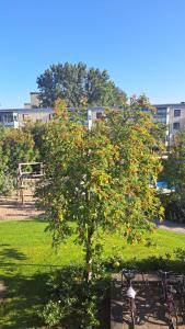 Un árbol con bayas rojas en un parque en Rum i lyxig lägenhet nära Emporia en Malmö