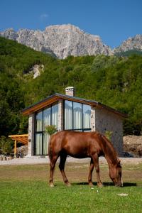 a brown horse grazing in the grass in front of a house at Villa Ujëvara e vogël in Theth