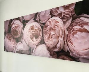Fotografie z fotogalerie ubytování Four Flowers Apartman v Siofoku